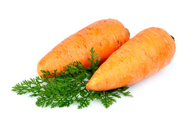 Sweet and freash carrots