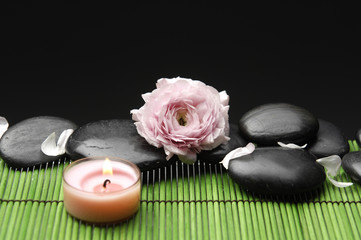 Fototapeta na wymiar Pink ranunculus flower with stones and candle on green mat