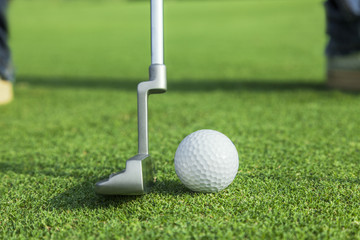 putter puts a golf ball to hole on green of golf course