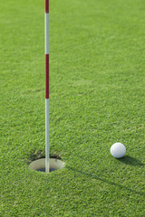putter puts a golf ball to hole on green of golf course