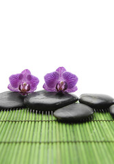 Two pink orchid and stones on green mat
