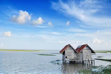 Hut on a bog in thailand