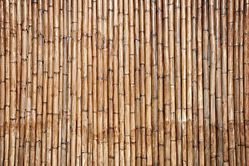 Dry bamboo wall texture background