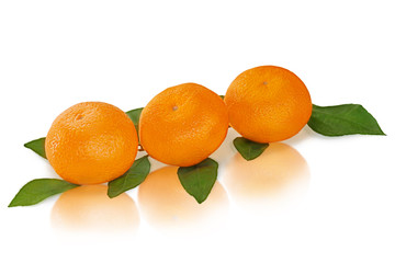 fresh tangerines with green leaves isolated on white background