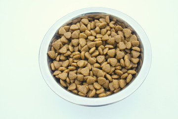 bol de croquettes pour chiot