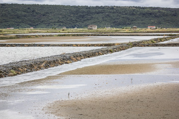 Sečovlje Salina Landscape Park