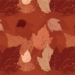 Fall background