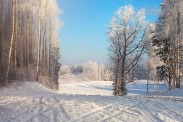 Winter landscape.