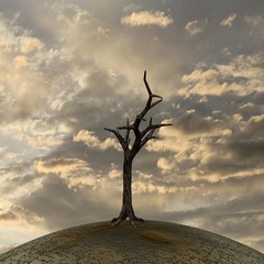 Alter Baum auf Hügel, Berg, ausgetrocknete Erde, Himmel, bewölkt, Klimawandel, Erderwärmung