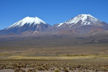 Volcans jumeaux Parinacota et Pomerape - Altiplano Bolivie