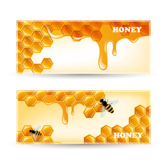 Vector Illustration of Two Honey Banners