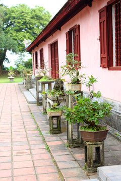 Bonsai garden at Thien Mu Pagoda, Hue, Central Vietnam.
