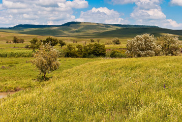 Fototapeta premium летний пейзаж