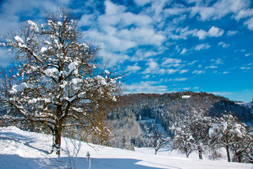 Winter scene © Daniel Vincek