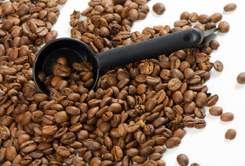 Obraz premium Coffee bean