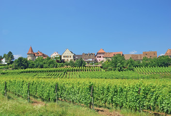 Fototapeta na wymiar der Wein-und Touristenort Zellenberg im Elsass