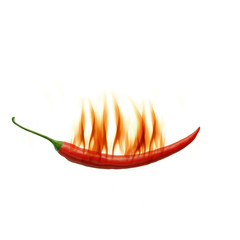 Scharfe Chilischote