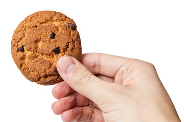 cookie with chocolate pieces in hand - obrazy, fototapety, plakaty