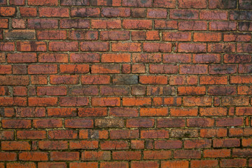 Fototapeta premium Brick wall background