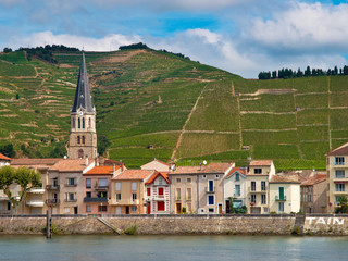 Vineyards in the Cote du Rhone France
