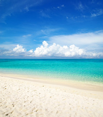 Obraz premium beach and tropical sea