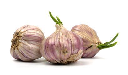 Garlic isolated on white background