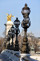 Fototapeta na wymiar Pont Alexandre III Paryż