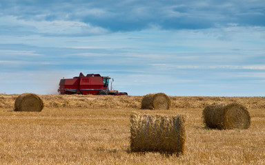 Obraz premium combine harvesting