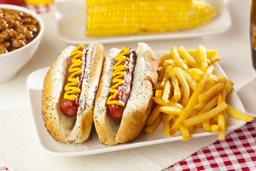 Organic All Beef Hotdog