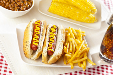Organic All Beef Hotdog