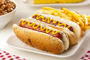 Organic All Beef Hotdog