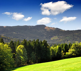 Obraz premium Spring landscape in the national park Sumava - Czech Republic
