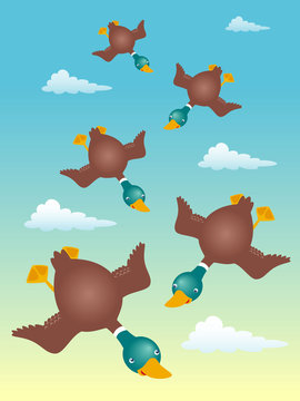 Illustration of ducks flying