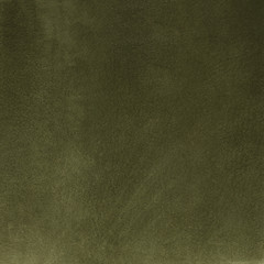 Fototapeta premium Green leather
