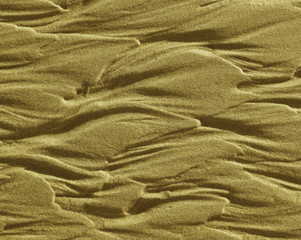 Fototapeta premium sand textured by sea waves
