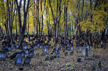 Old graves at historic Jewish cemetery in Warsaw, Poland
