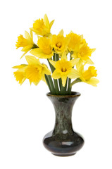 Bunch of daffodils