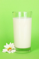 Obraz na płótnie Canvas Glass of fresh new milk with white flower on green background