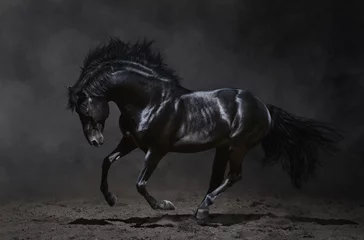 Gardinen Galoppierendes schwarzes Pferd auf dunklem Hintergrund © Kseniya Abramova