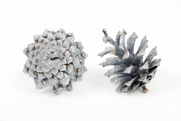 Fototapeta premium Xmas cones painted with silver paint