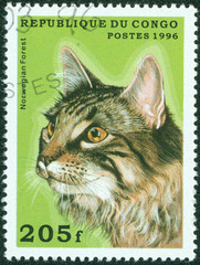stamp printed in Congo shows cat