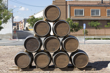 wooden barrels for wine