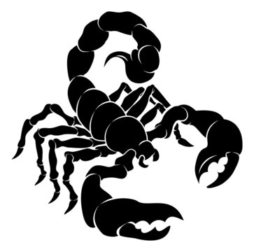 Stylised Scorpion illustration