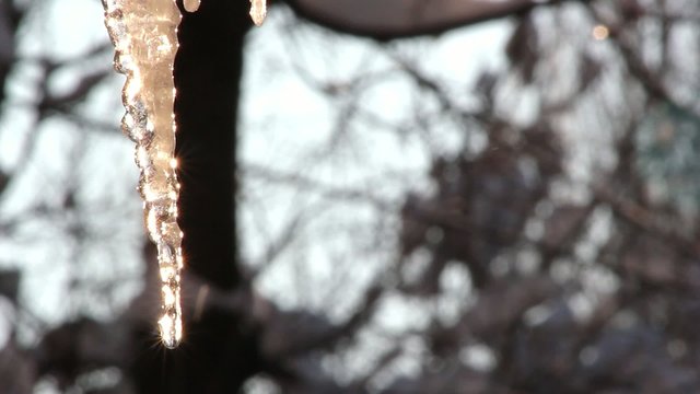 icicle drips,icicle melts