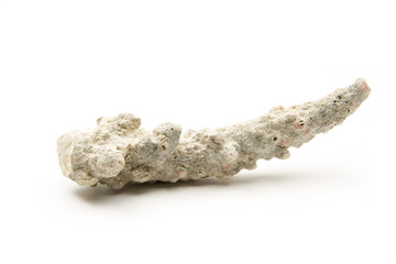 fossil remnant © humbak