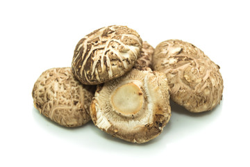 Fresh shiitake mushroom