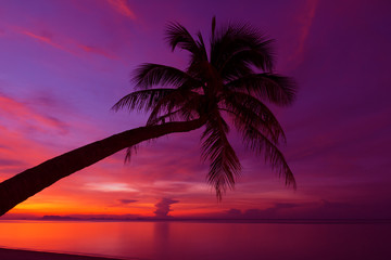 Tropical sunset with palm tree silhoette at beach
