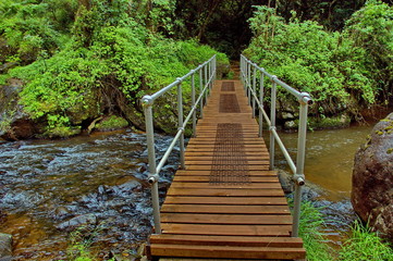 Scenic bridge below Lone creek fall in South Africa