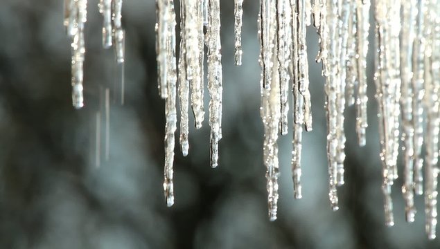 Schmelzende Eiszapfen