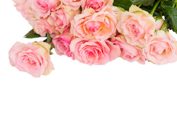 border of fpink  roses